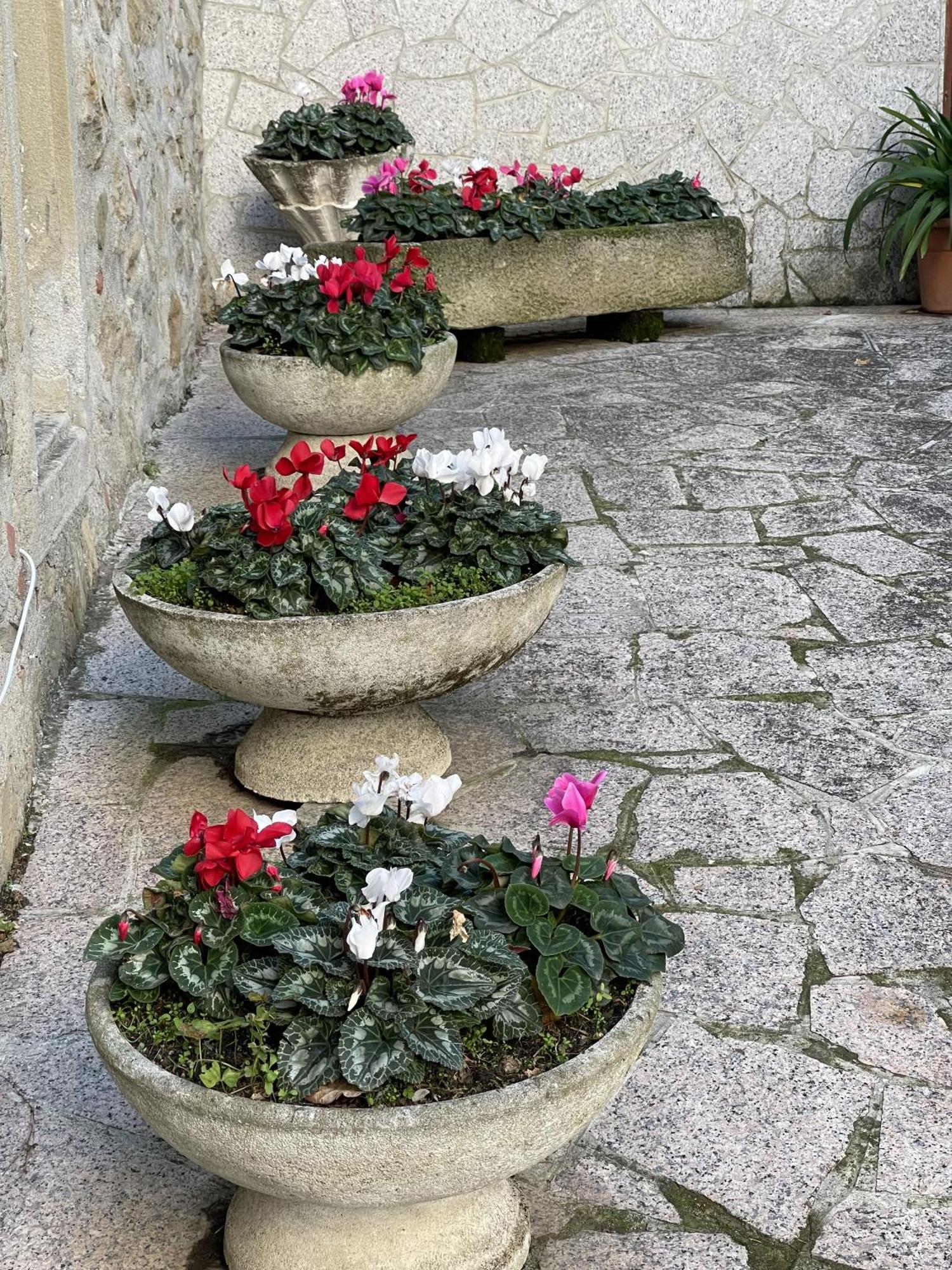 Mazzetti Country House-Vita In Campagna Con Giardino Vimignano-Chiesa Zewnętrze zdjęcie