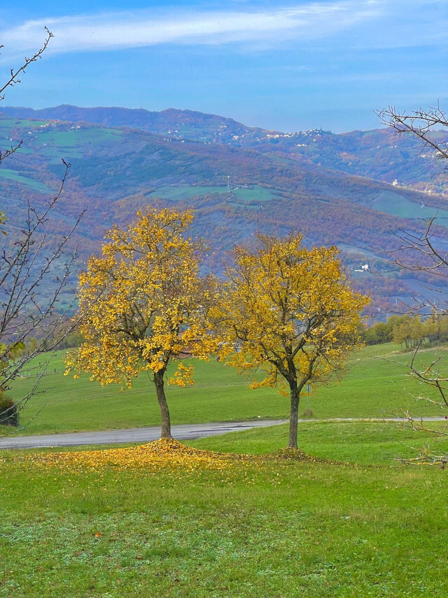 Mazzetti Country House-Vita In Campagna Con Giardino Vimignano-Chiesa Zewnętrze zdjęcie