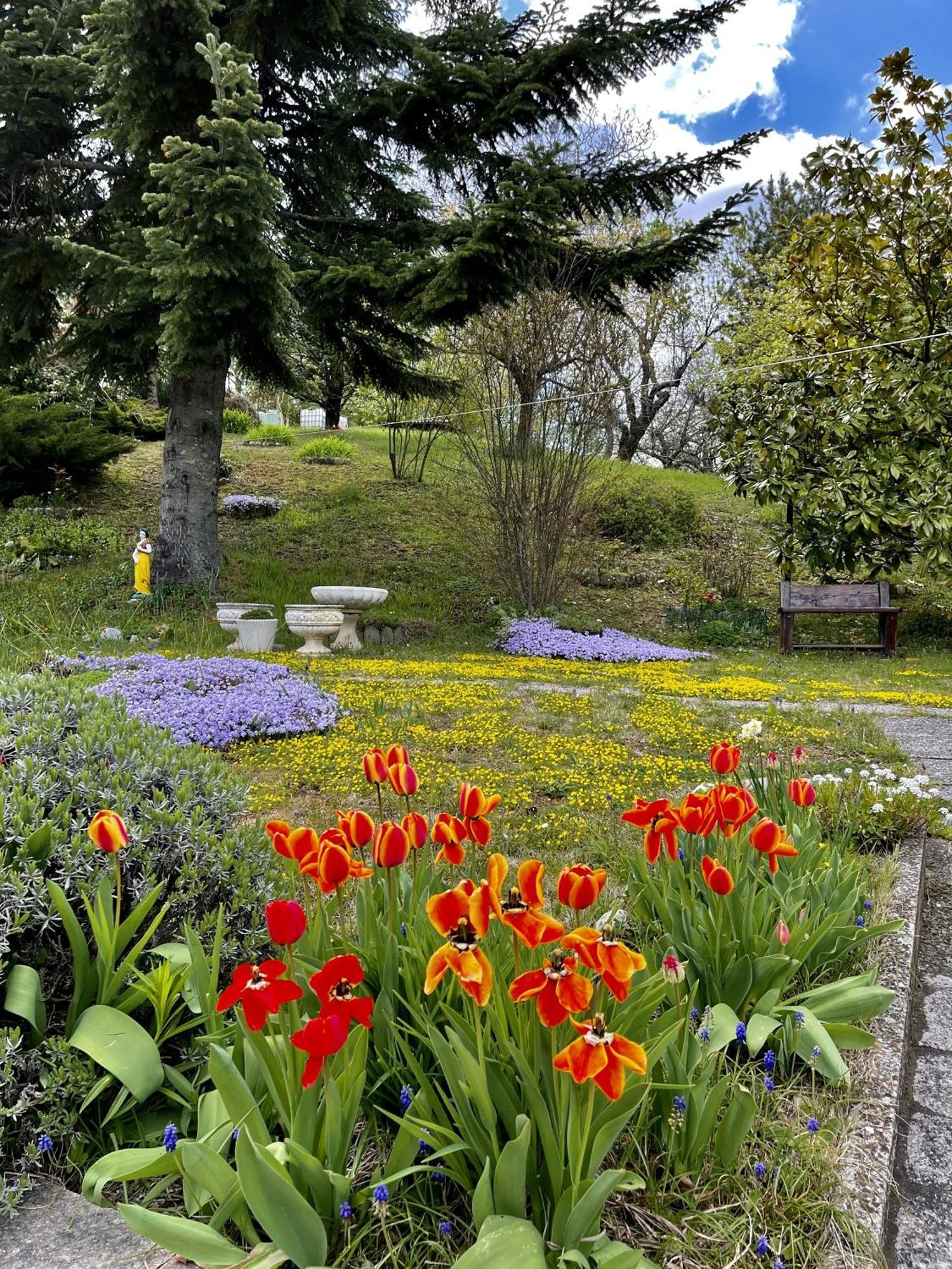 Mazzetti Country House-Vita In Campagna Con Giardino Vimignano-Chiesa Zewnętrze zdjęcie