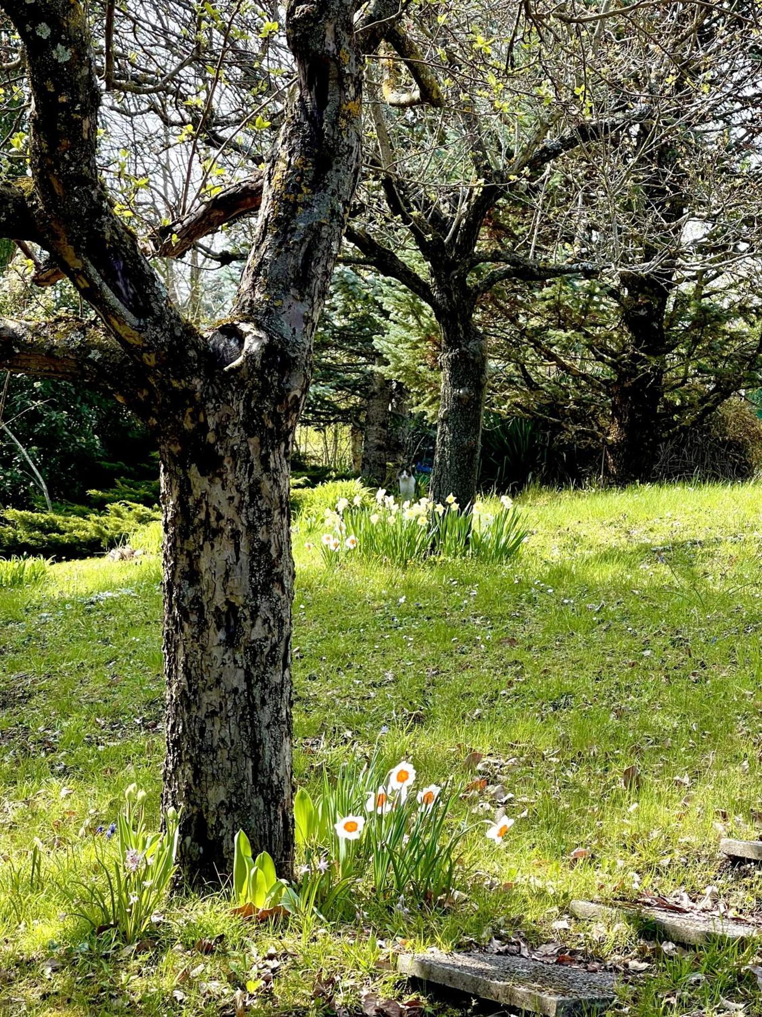 Mazzetti Country House-Vita In Campagna Con Giardino Vimignano-Chiesa Zewnętrze zdjęcie