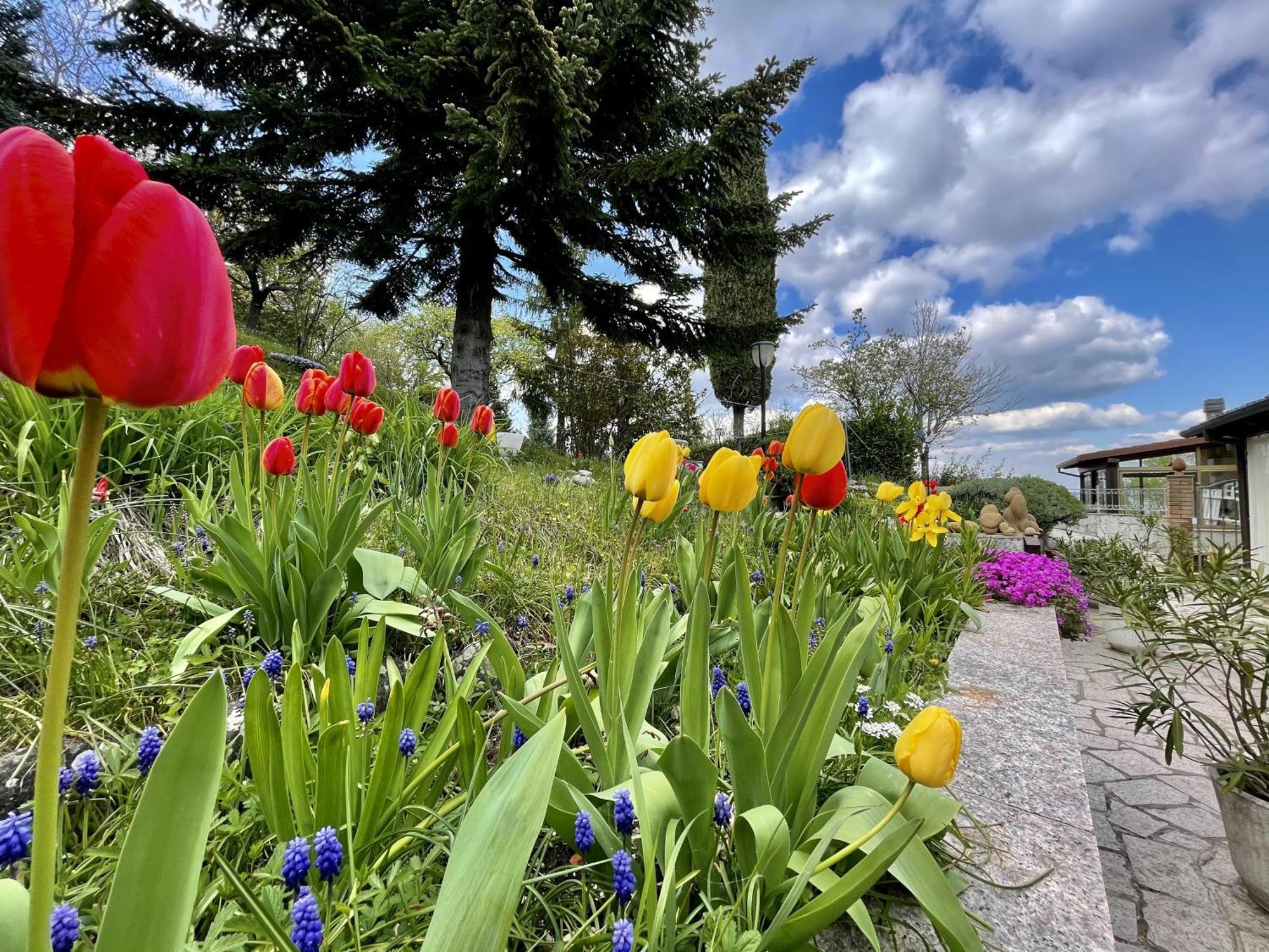 Mazzetti Country House-Vita In Campagna Con Giardino Vimignano-Chiesa Zewnętrze zdjęcie