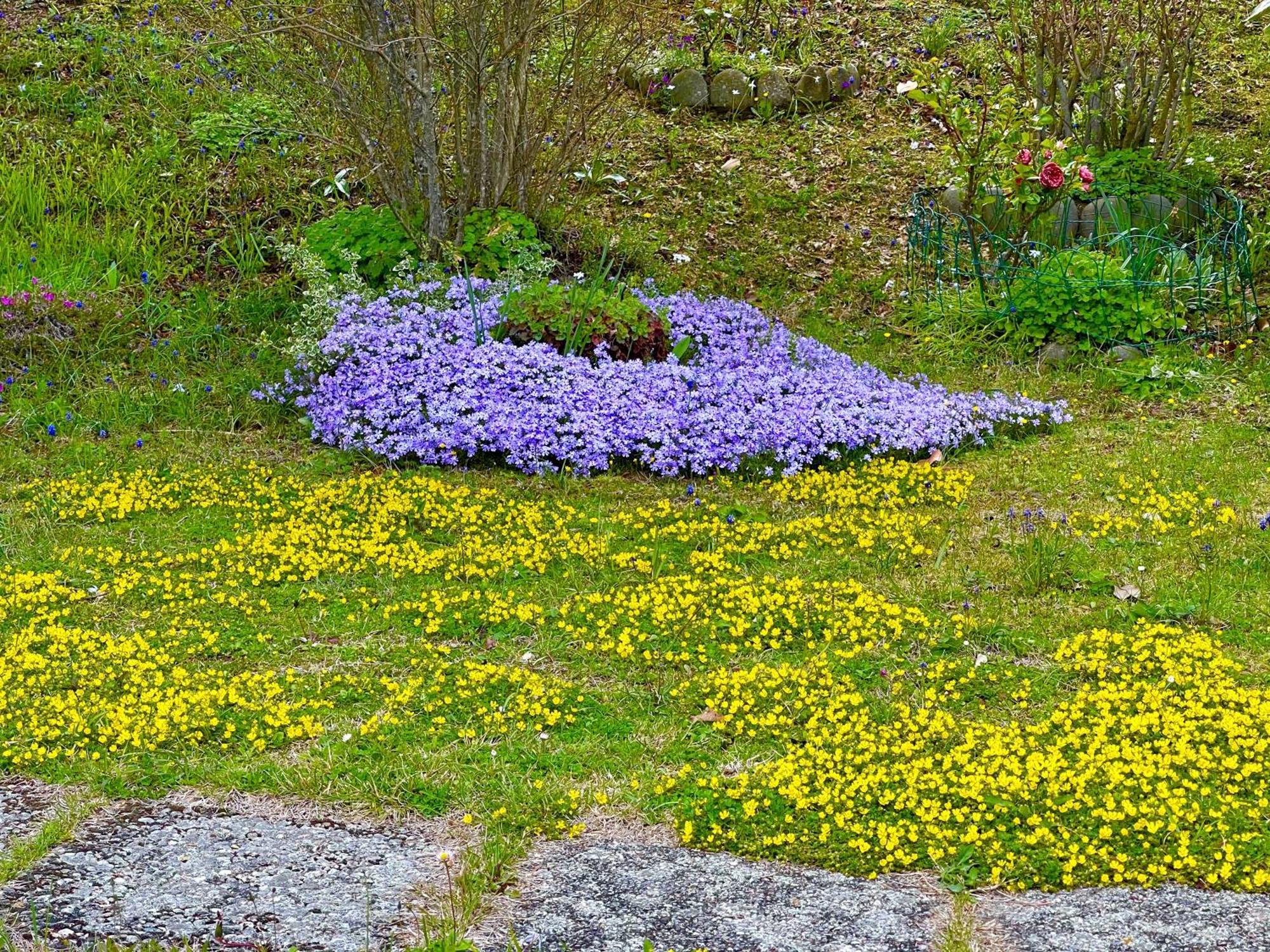 Mazzetti Country House-Vita In Campagna Con Giardino Vimignano-Chiesa Zewnętrze zdjęcie