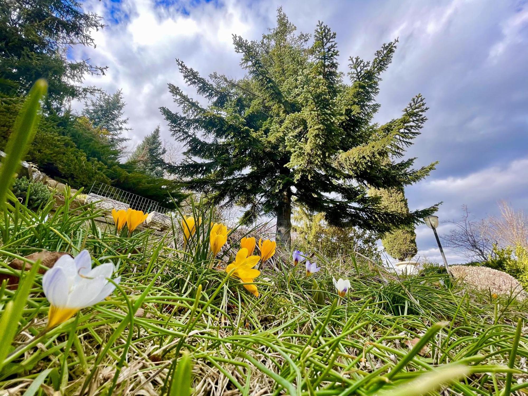 Mazzetti Country House-Vita In Campagna Con Giardino Vimignano-Chiesa Zewnętrze zdjęcie