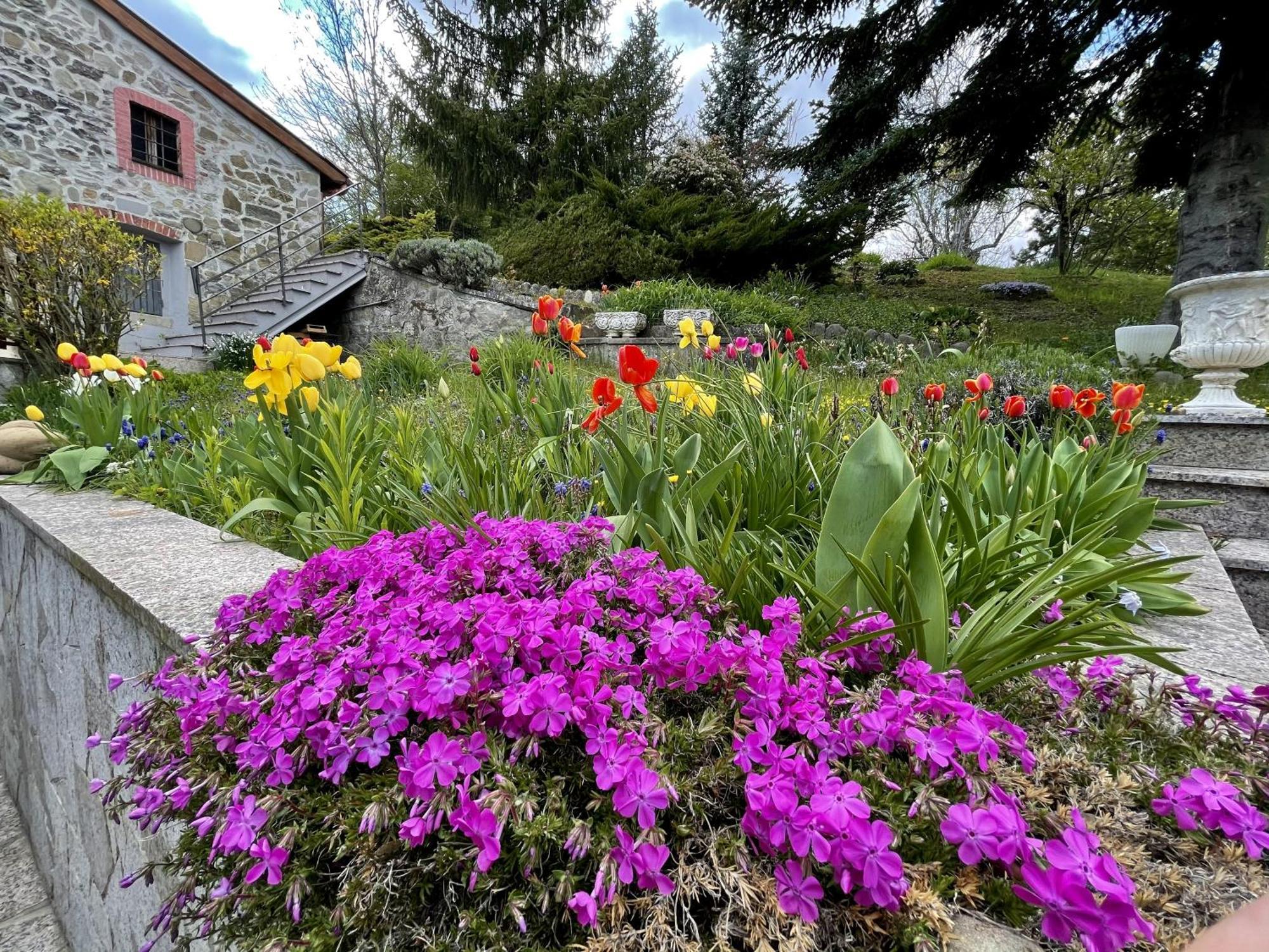 Mazzetti Country House-Vita In Campagna Con Giardino Vimignano-Chiesa Zewnętrze zdjęcie