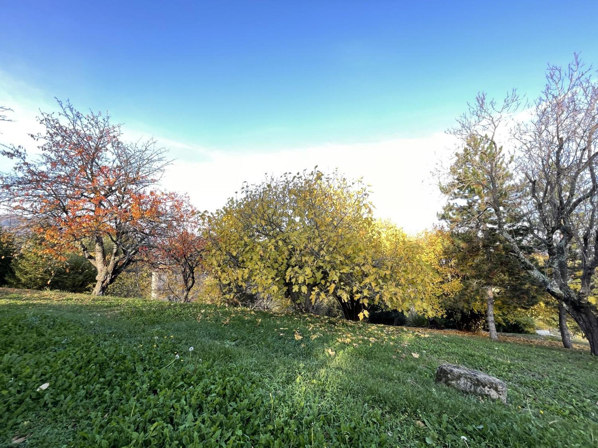 Mazzetti Country House-Vita In Campagna Con Giardino Vimignano-Chiesa Zewnętrze zdjęcie