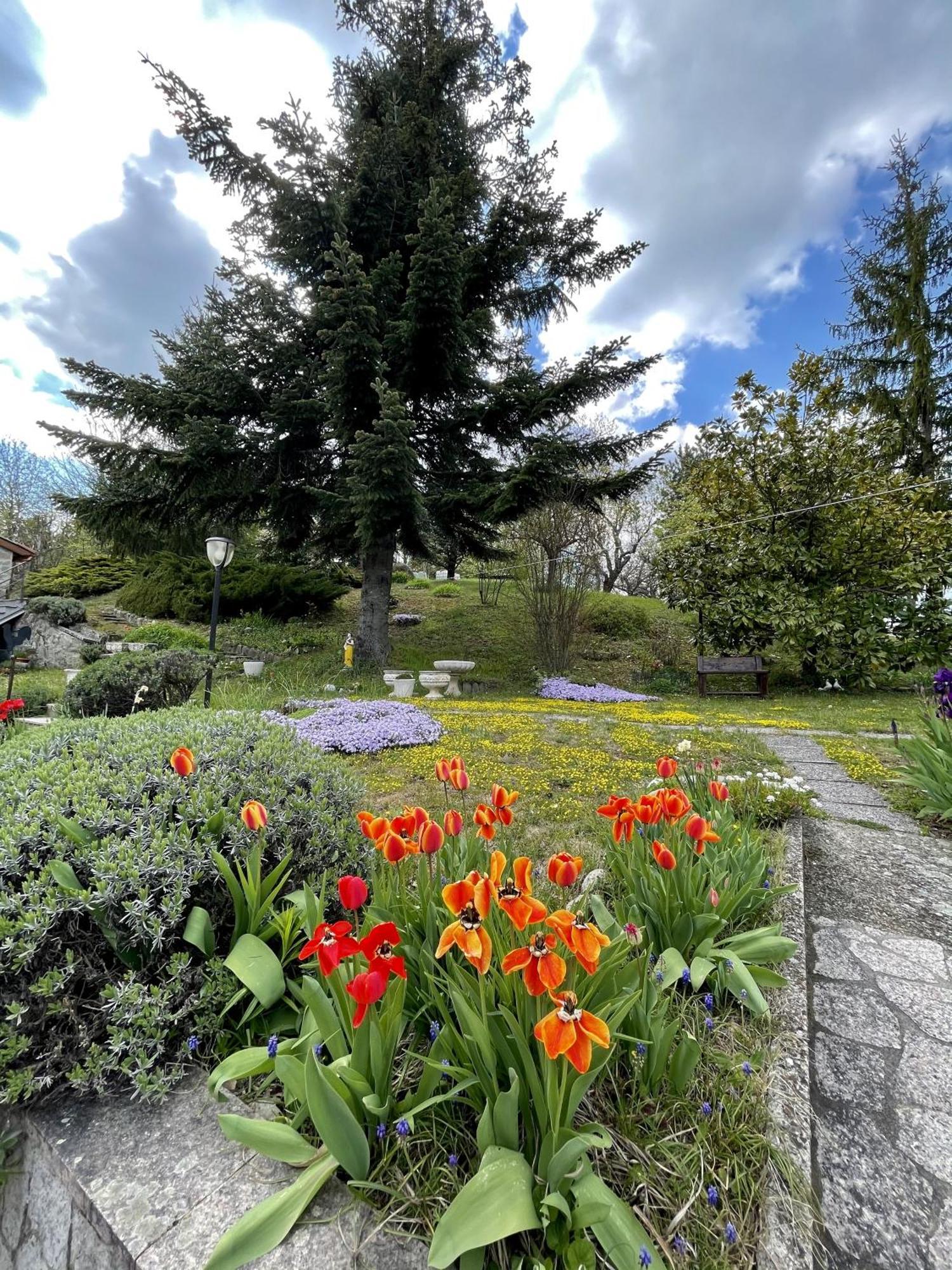 Mazzetti Country House-Vita In Campagna Con Giardino Vimignano-Chiesa Zewnętrze zdjęcie